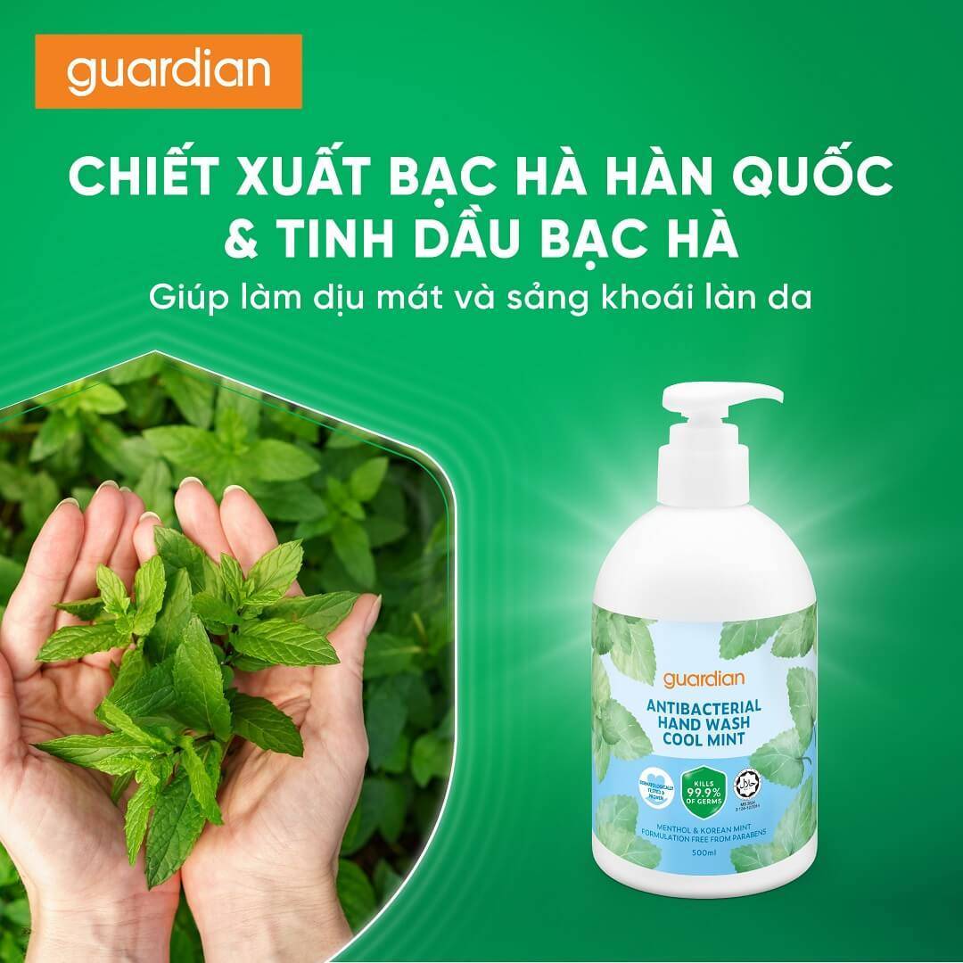 nuoc-rua-tay-khang-khuan-guardian-antibacterial-handwash-cool-mint-bac-ha-mat-lanh-500ml