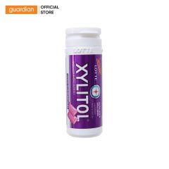 KẹO Gum Không ĐườNg Hương Blueberry Mint Xylitol Lotte 26,1Gr