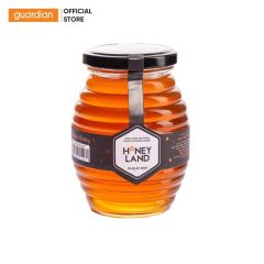 Mật Ong Hoa Xuyến Chi Honeyland 500Gr