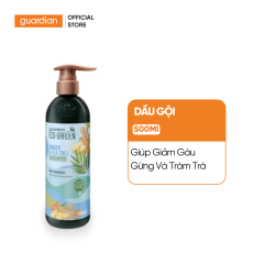 Dầu Gội Giúp Giảm Gàu Eco Garden Ginger & Tea Tree Anti-Dandruff Shampoo Chiết Xuất Từ Gừng Và Tràm Trà 500ml