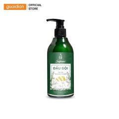 dau-goi-tinh-dau-vo-buoi-julyhouse-botanical-300ml